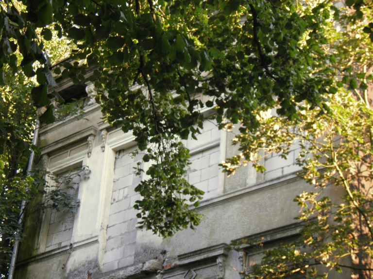 ../Images/P809051811 (426).jpg